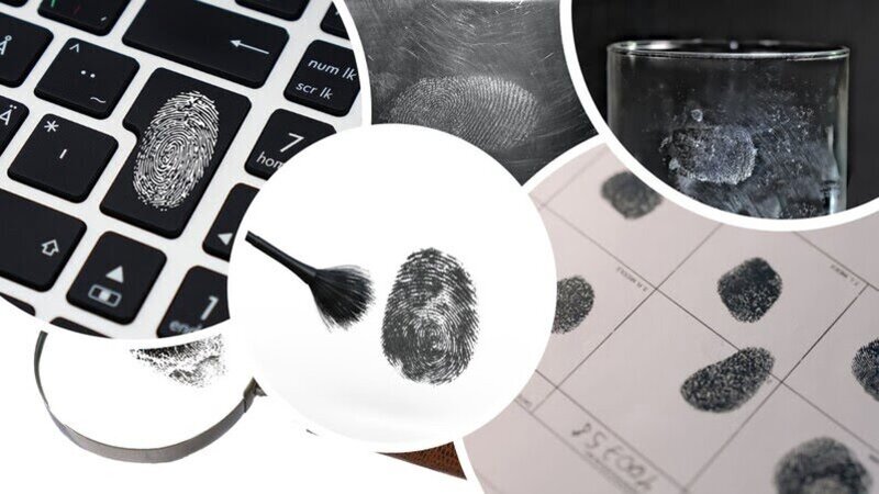 forensic-fingerprint-development-and-examination-forensic-rashmi