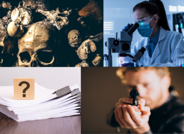 Main Branches of Forensic Science
