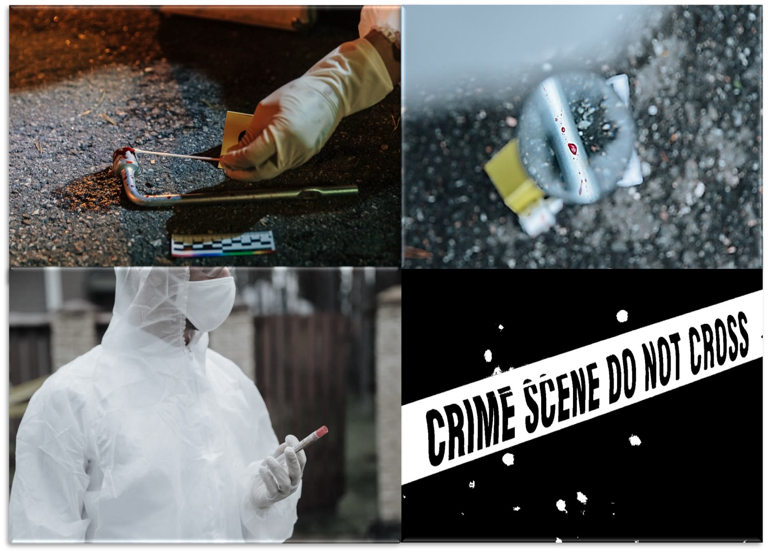 Explaining Forensic Toxicology: Uncovering the Science Behind It